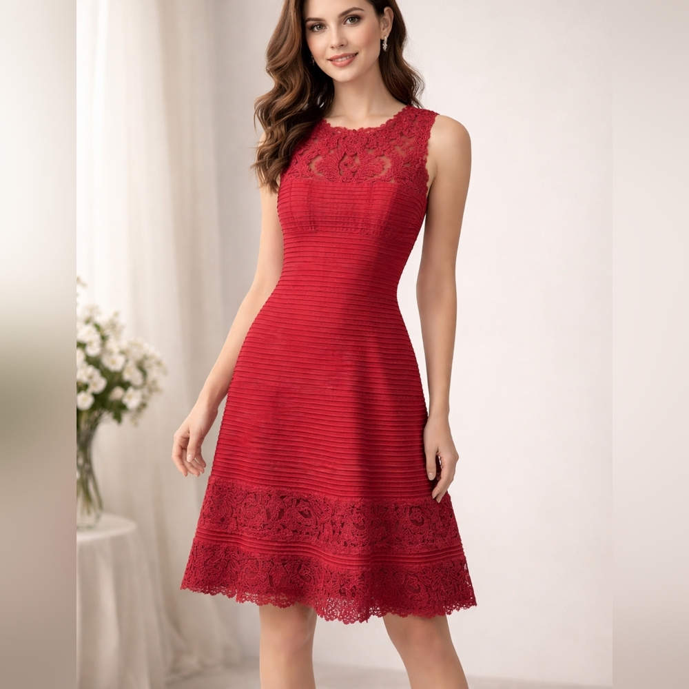 Tadashi Shoji Corded Embroidery on Tulle Pintuck Boatneck Dress M